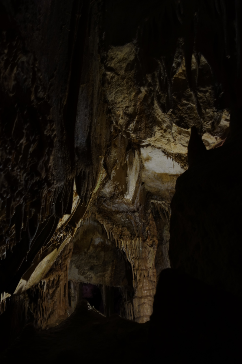 Illustration for article titled Lehman Caves